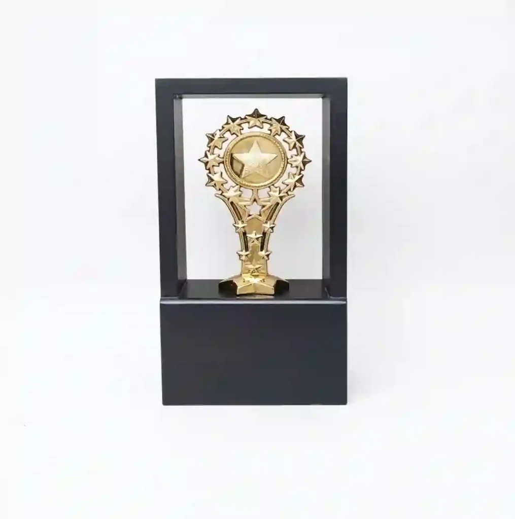 Corporate Trophies 10