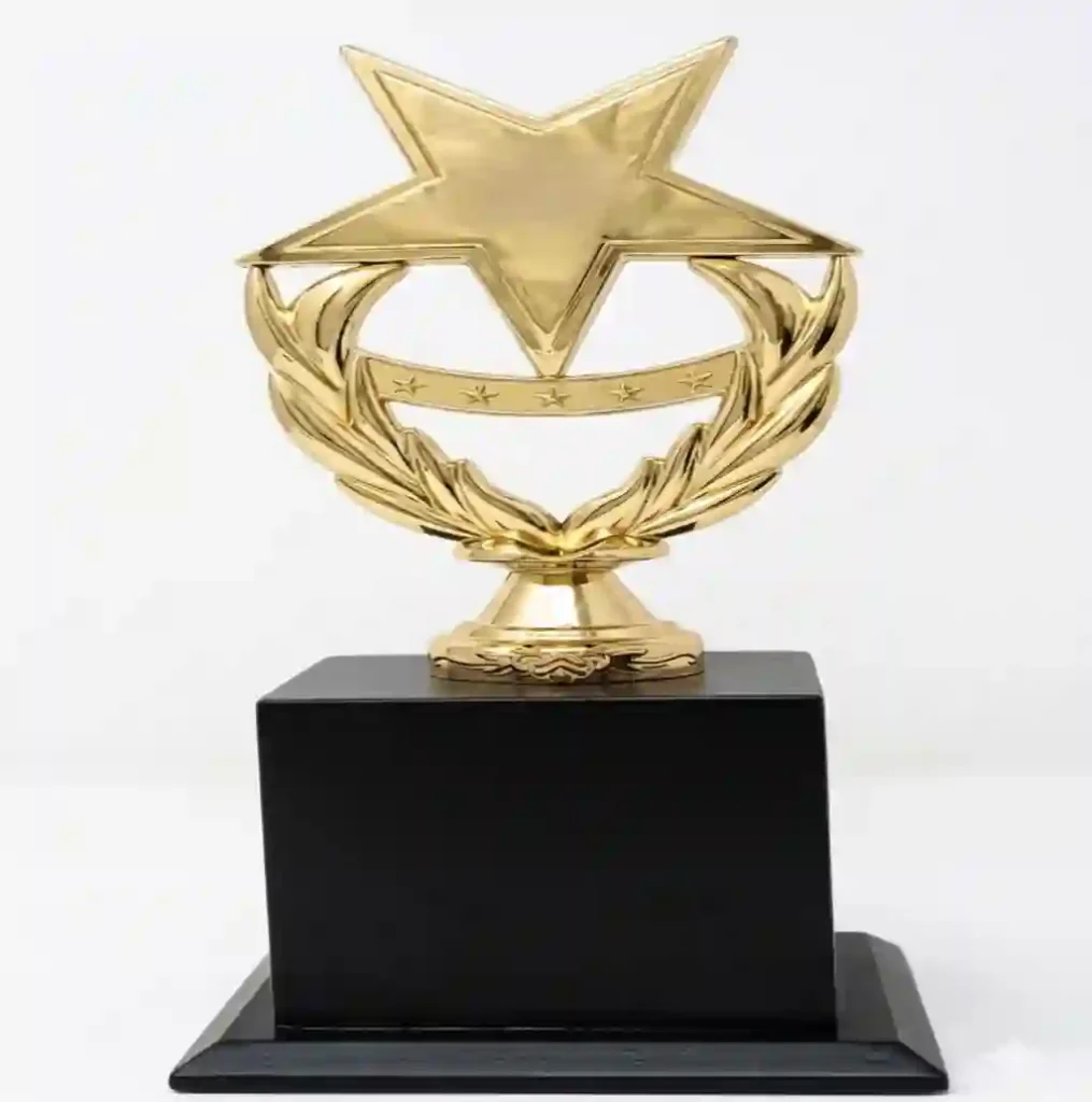 Corporate Trophies 7