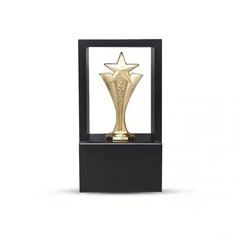 Corporate Trophies 8